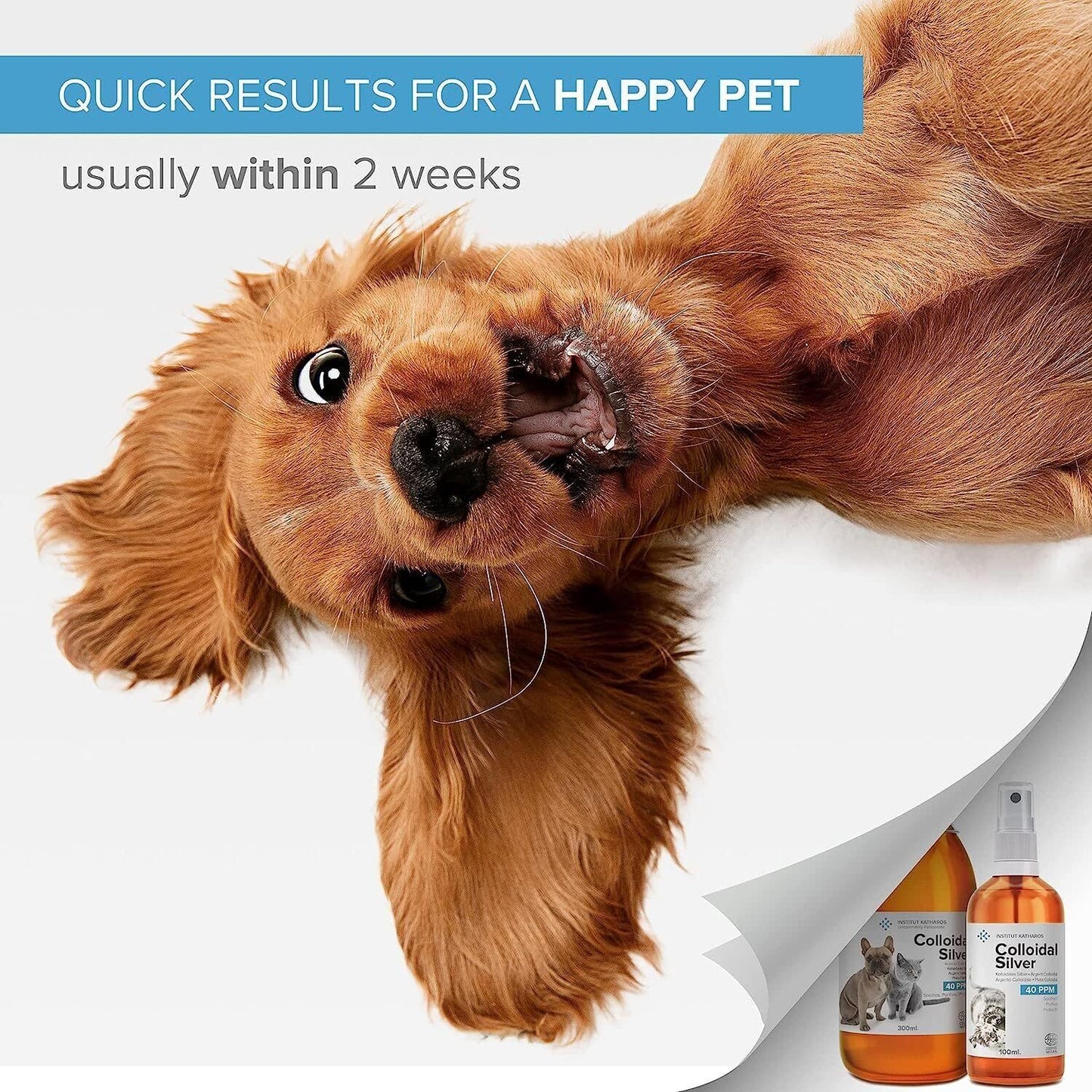  Pet Antiseptic Spray; Spray for Pets;Skin Treatment; Antiseptic for Pets' Skin Care