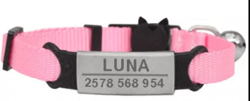 Cat Collar & ID Tag; Anti-Lost Pet Accessory; Anti-Lost Cat Accessories; Safety Bell & ID Tag