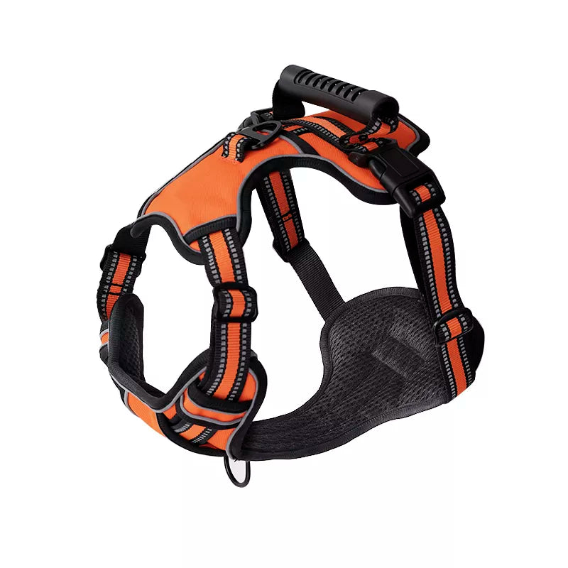 Outdoor Dog Harness for Walking and Training; Dog Walking and Training Harness ;  Harness for Outdoor Adventures with Your Dog