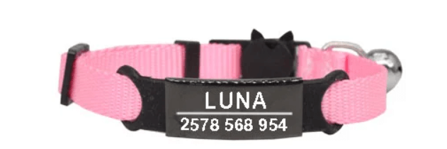 Cat Collar & ID Tag; Anti-Lost Pet Accessory; Anti-Lost Cat Accessories; Safety Bell & ID Tag