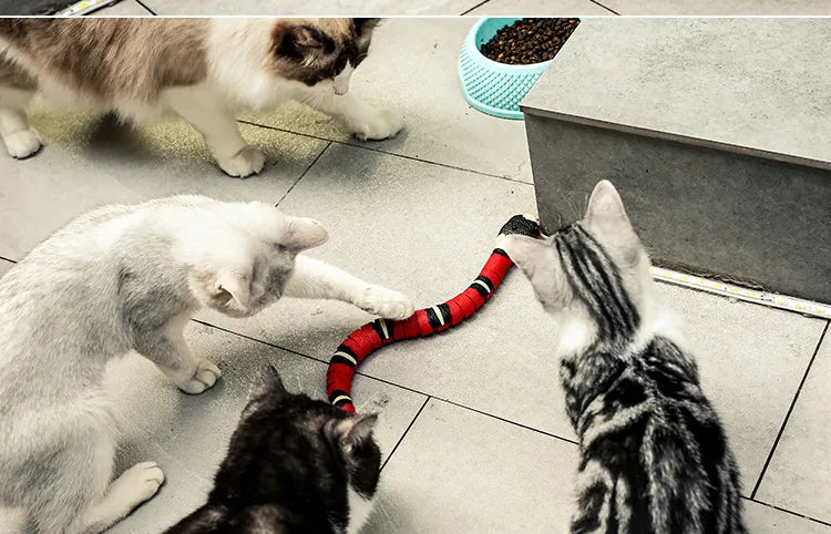 Smart Sensing Interactive Cat Toys Automatic Eletronic Snake Cat Teasering Play USB Rechargeable Kitten Toys for Cats Dogs Pet - Lara Clere