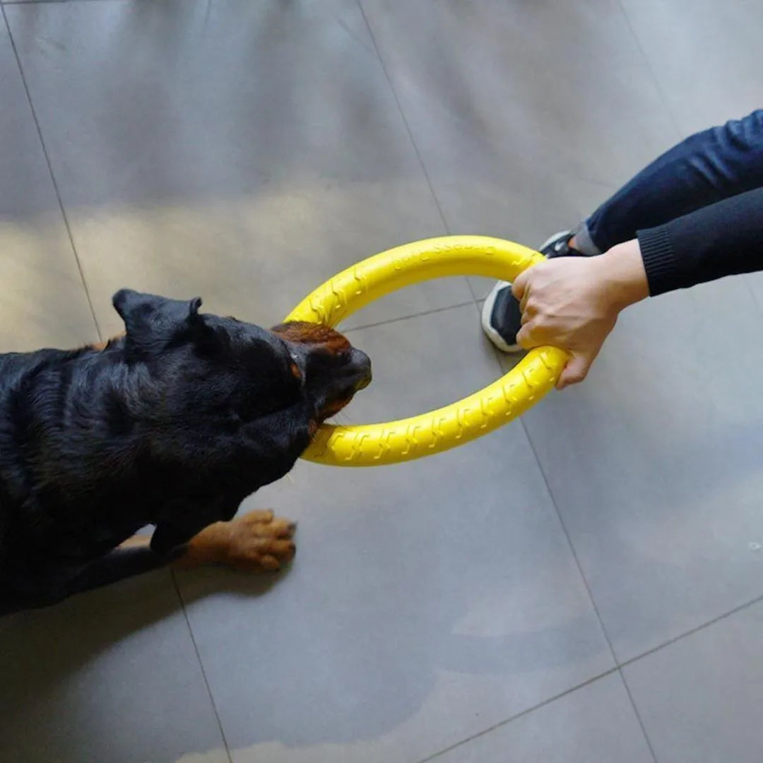 Indestructible Dog Ring Toy for Fetch and Chew