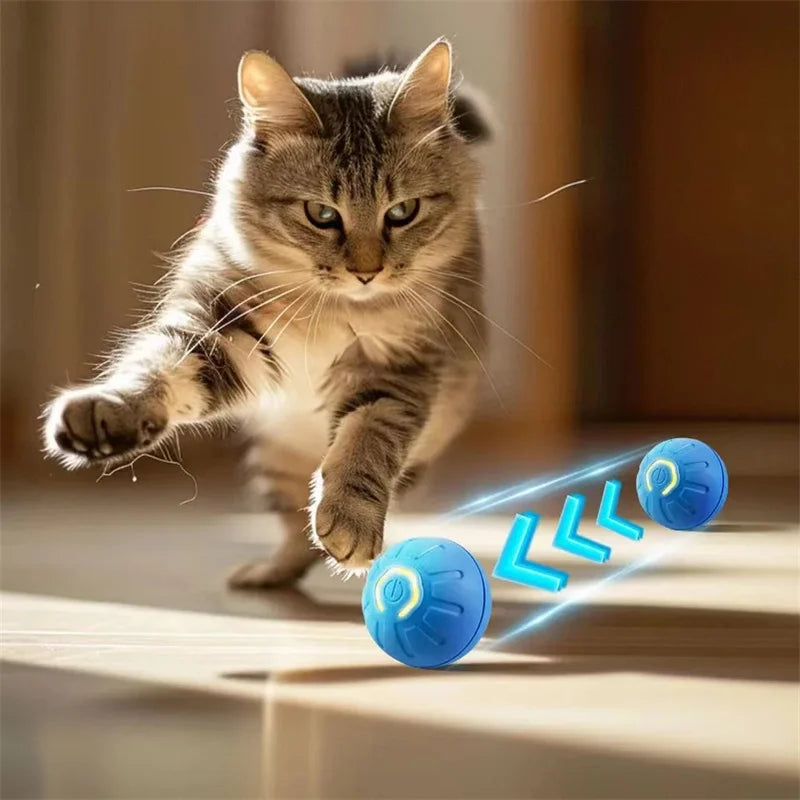 Smart Moving Ball for Interactive Pet Play