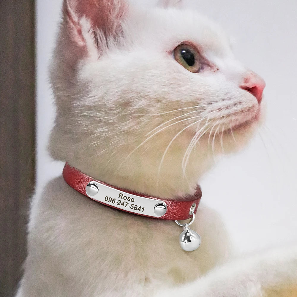 Cat Collar Anti-Lost;  Pet Anti-Lost; Custom Cat Collar; Customized Collar Pets for Safety