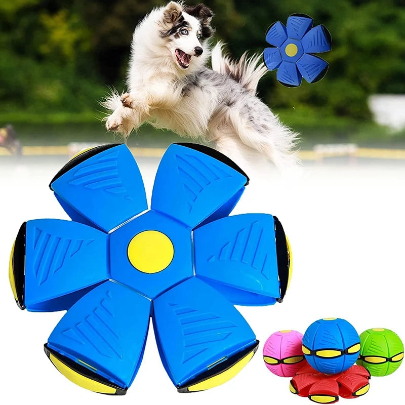 Futuristic Saucer Ball Dog Toy for Outdoor Play