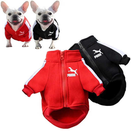 Baseball Dog Jacket – Winter Clothes for Small & Medium Dogs