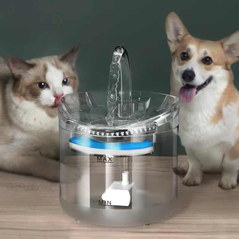 Pet Water Dispenser Automatic