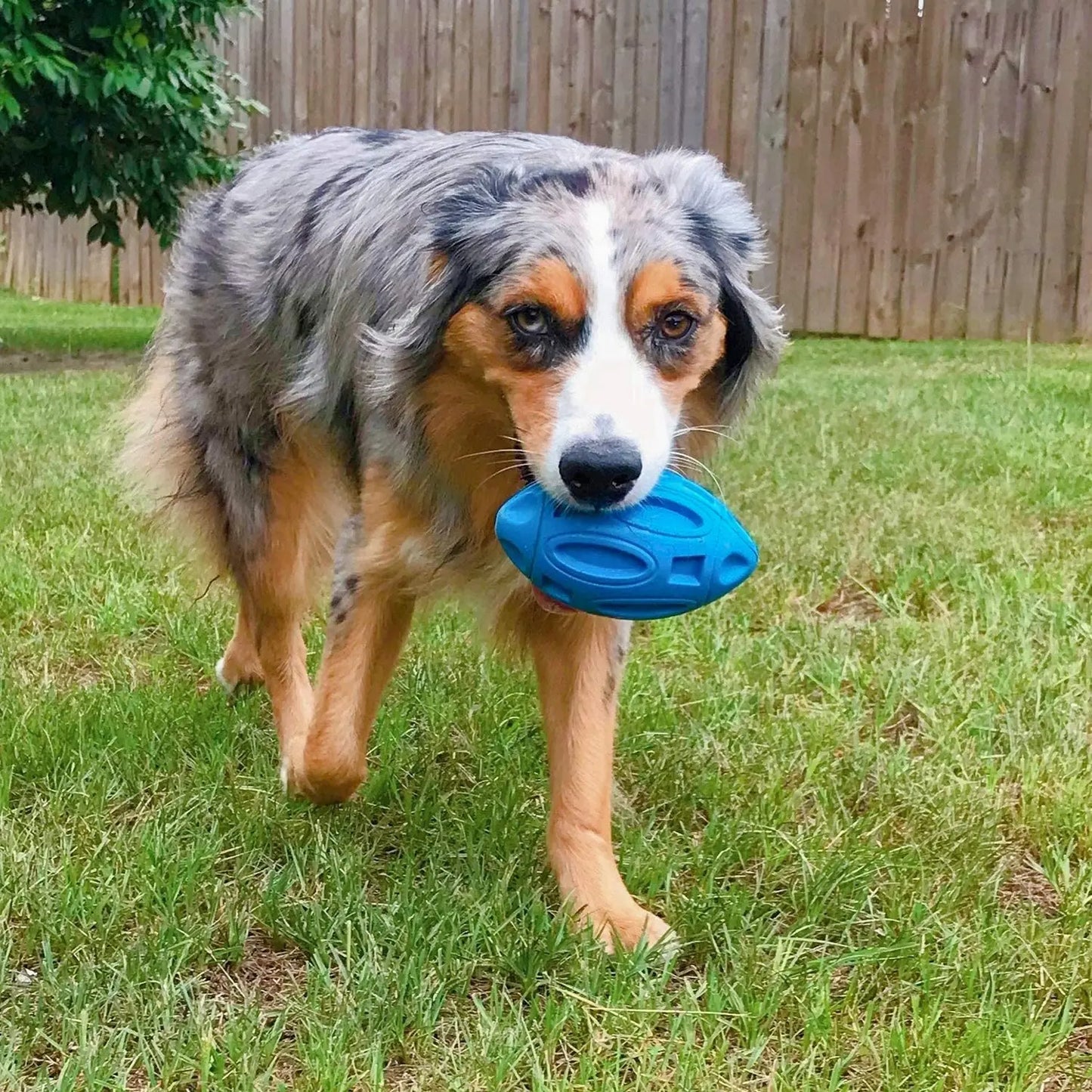 Teeth Cleaning Pet Toy for Medium to Large Dogs