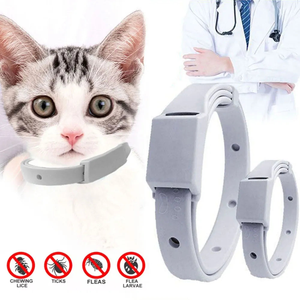 Anti-Flea & Tick Collar for Cats and Small Dogs - 8-Month Protection, Adjustable