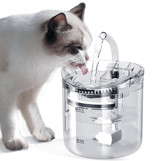 Pet Water Dispenser Automatic