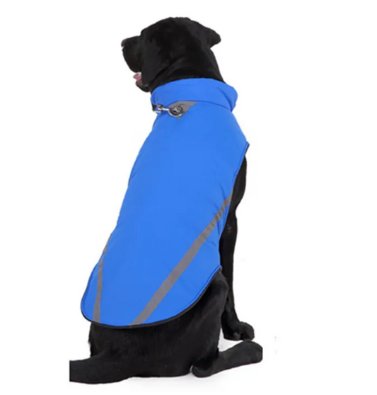 Dog Winter Coats & Clothes – Warm Autumn/Winter Apparel for Dogs