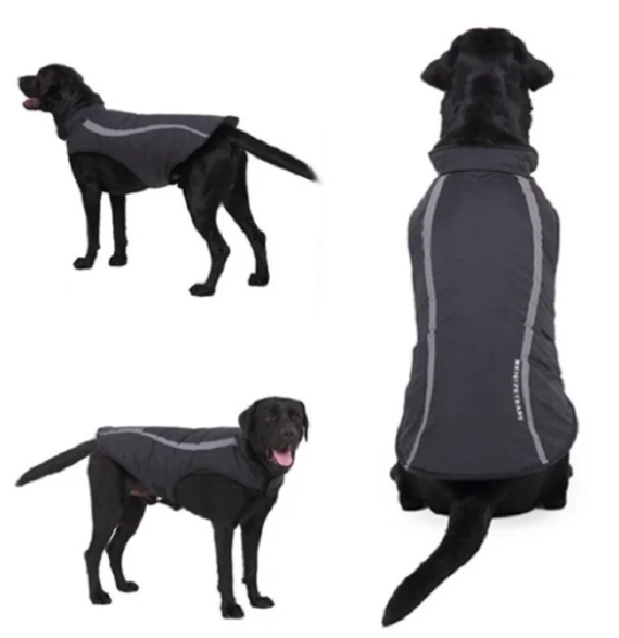 Dog Winter Coats & Clothes – Warm Autumn/Winter Apparel for Dogs