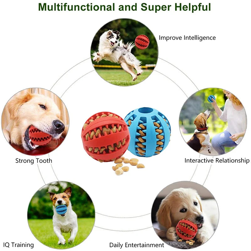 Pet Food Ball Toy for Small Dog Tooth Cleaning