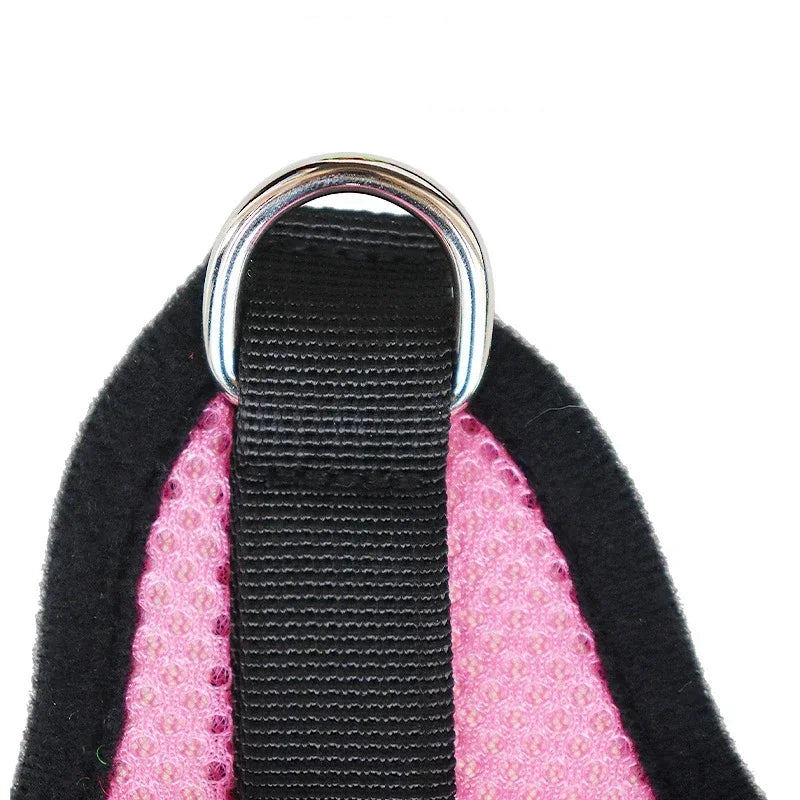 Breathable Nylon Mesh Dogs Harness & Leash Set for Small Puppy