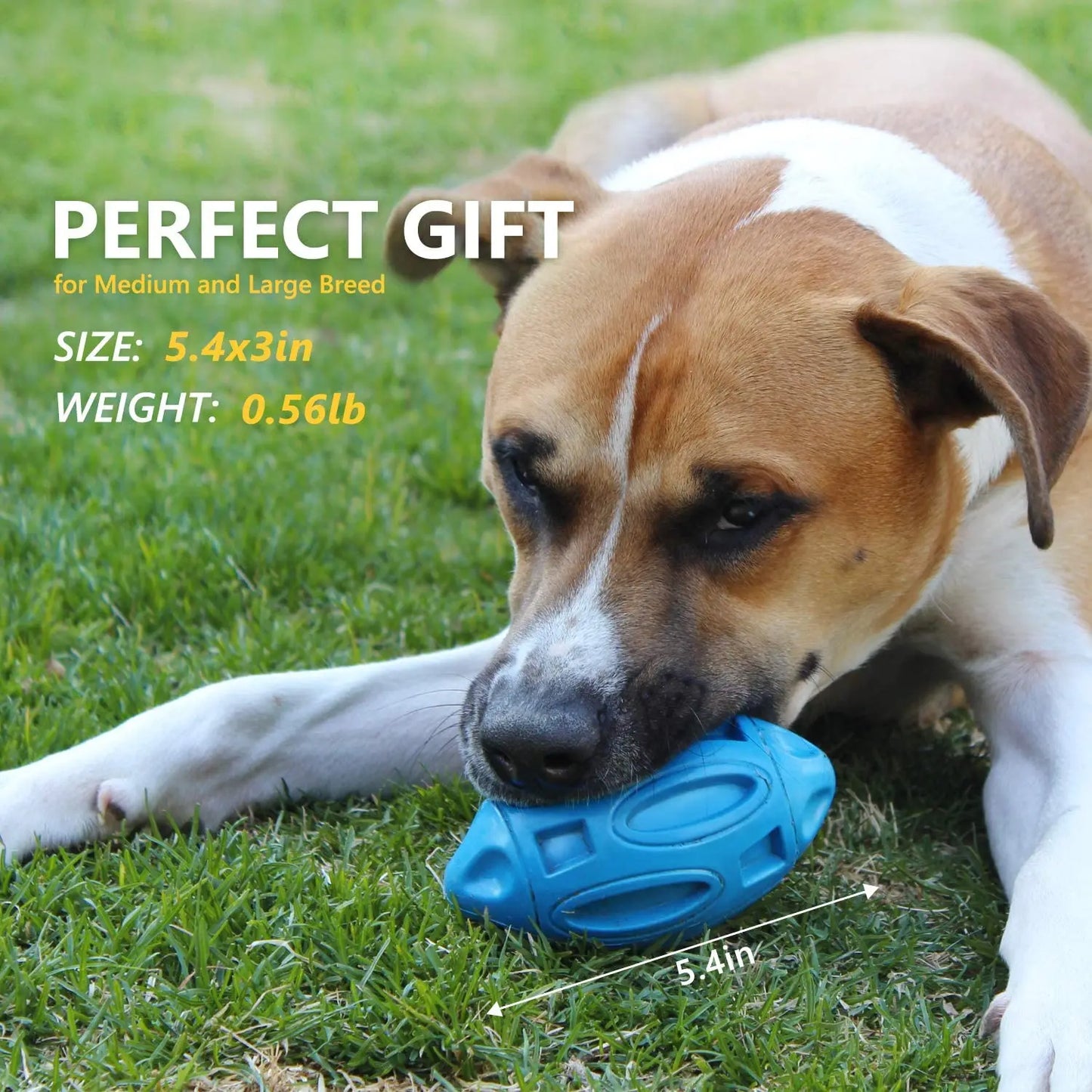 Teeth Cleaning Pet Toy for Medium to Large Dogs