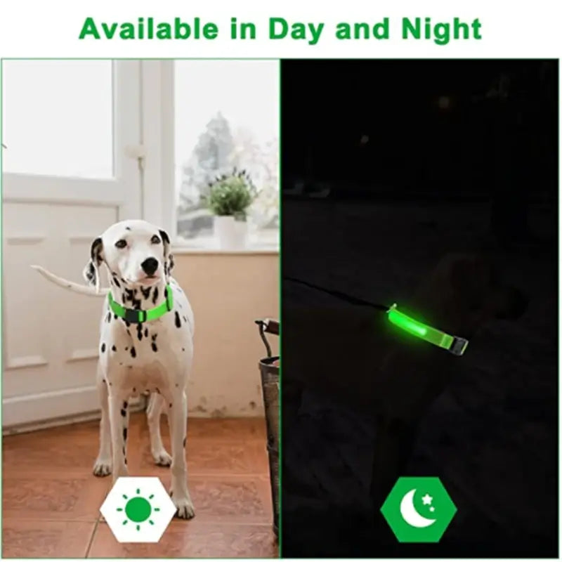 LED Dog Safety Harness; Light-Up Dog Harness for Nighttime Safety; LED Dog Harness for Nighttime Visibility