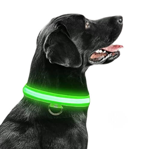 LED Dog Safety Harness; Light-Up Dog Harness for Nighttime Safety; LED Dog Harness for Nighttime Visibility