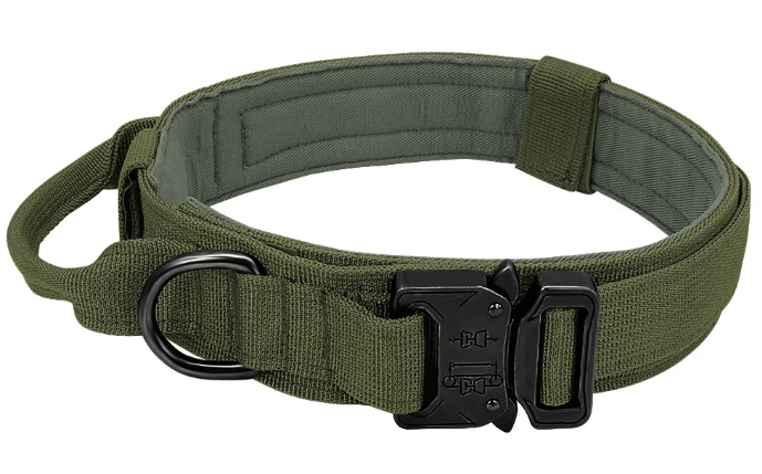 Robust Nylon Dog Collar for Medium to Large Breeds; Sturdy Collar for Medium to Large Breed Dogs; Durable Dog Collar for Larger Breeds