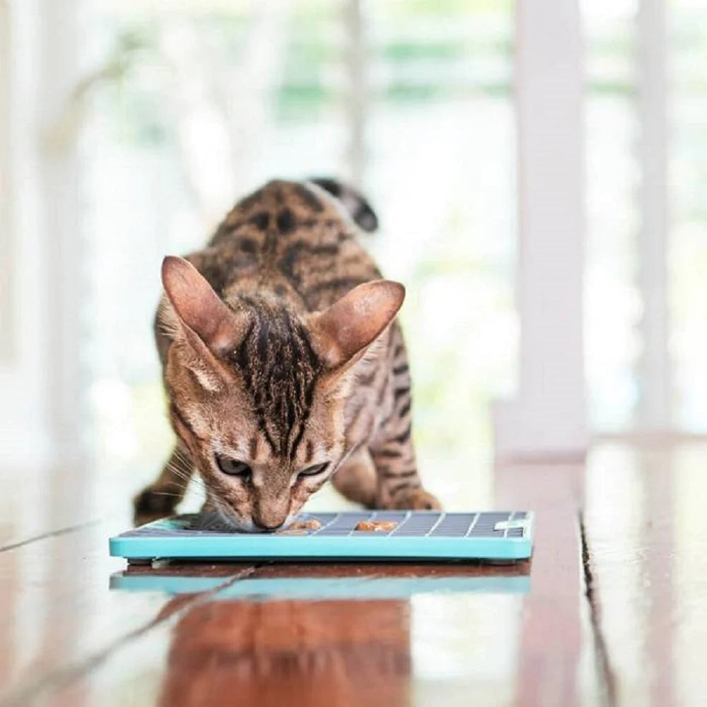 Lickimat Soother Treat Mat for Dogs & Cats