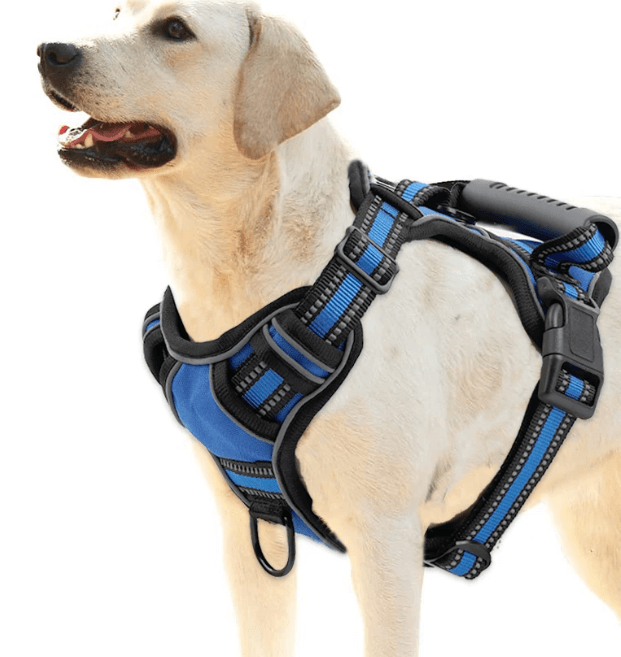 Outdoor Dog Harness for Walking and Training; Dog Walking and Training Harness ;  Harness for Outdoor Adventures with Your Dog