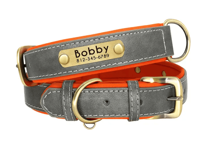 Personalized Leather Dog Collar with Free Engraving