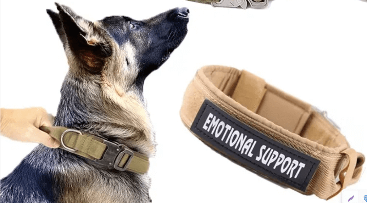 Robust Nylon Dog Collar for Medium to Large Breeds; Sturdy Collar for Medium to Large Breed Dogs; Durable Dog Collar for Larger Breeds