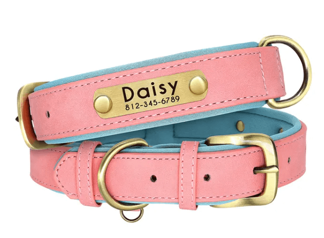 Customized Leather Dog Collar; Leather Dog Collar; Dog Collar